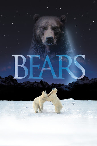熊 Bears