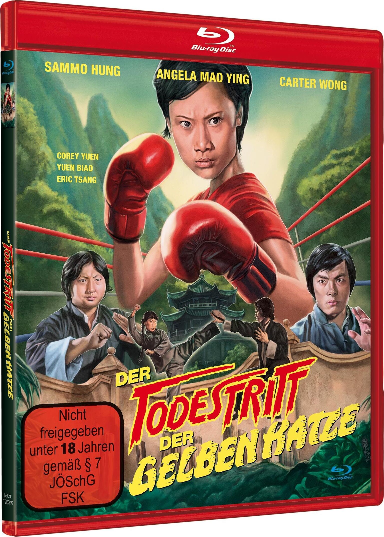 中泰拳坛生死战